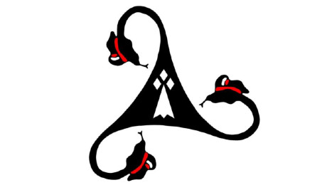 AAEMR logo
